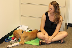 Devin and Copper enjoying "Bring your dog to lab meeting" day